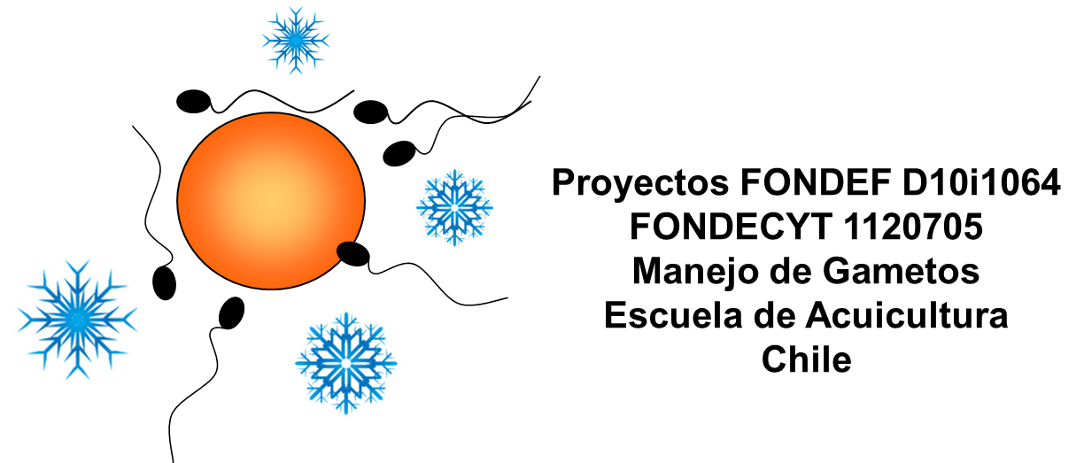 footer-logo